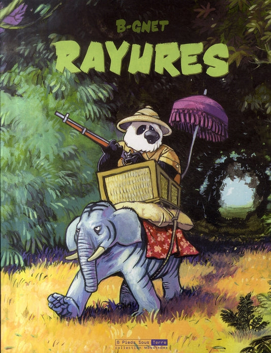 RAYURES