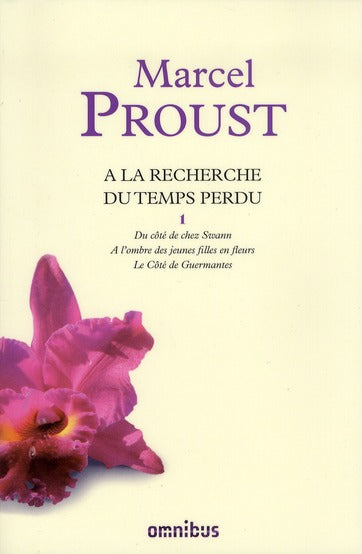 A LA RECHERCHE DU TEMPS PERDU, TOME 1 - VOL01