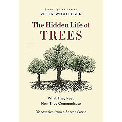 HIDDEN LIFE OF TREES: WHAT THEY FEEL, HOW THEY COMMUNICATE--DISCOVERIES FROM A SECRET WORLD