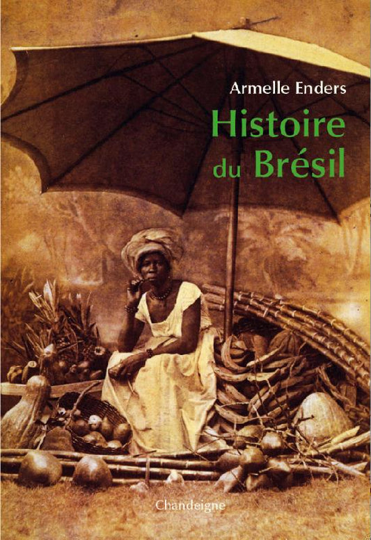 HISTOIRE DU BRESIL